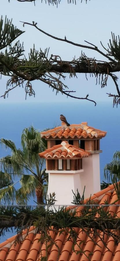 Willa Casa Moja - La Palma Tazacorte Zewnętrze zdjęcie